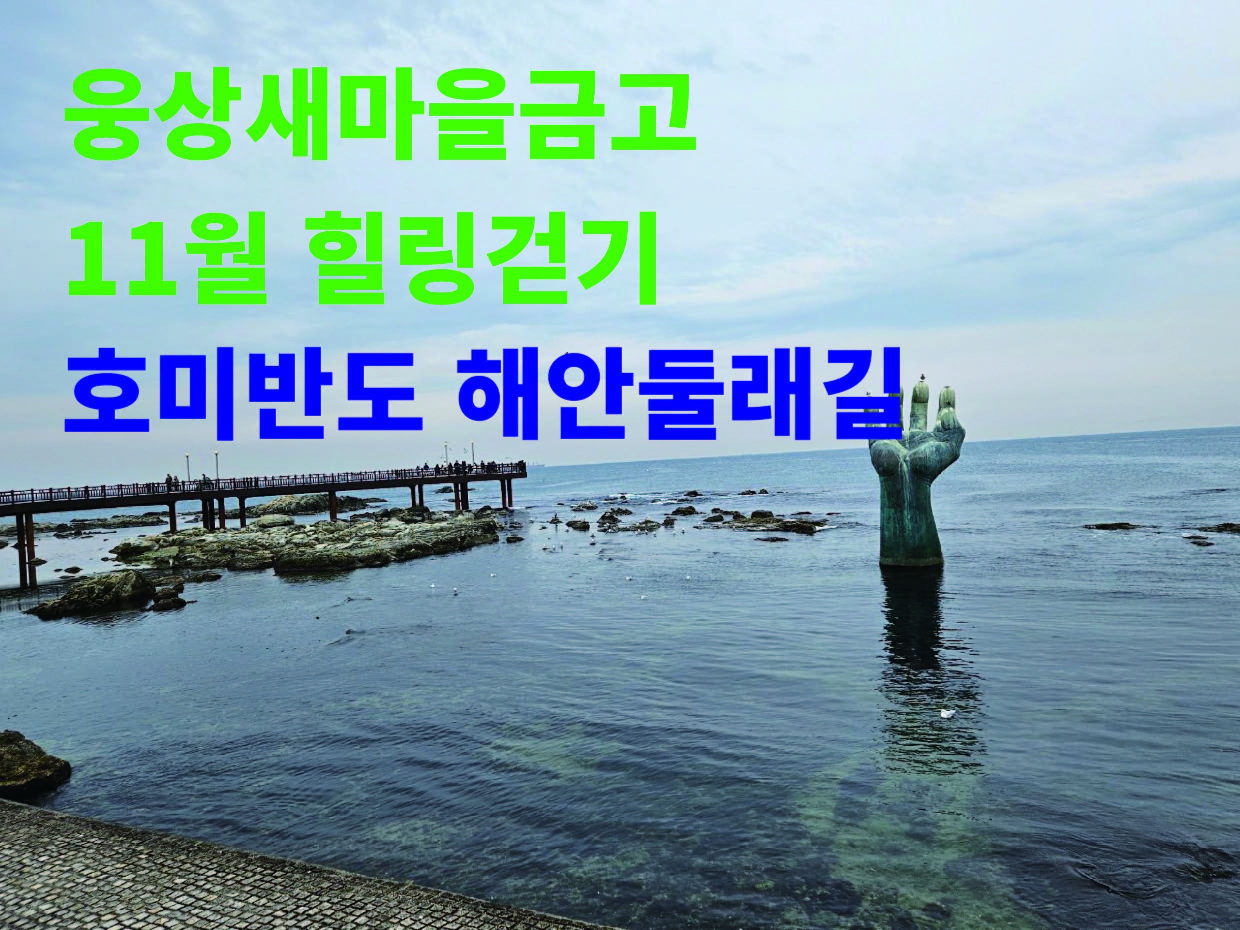 호미반도_대지 1.jpg