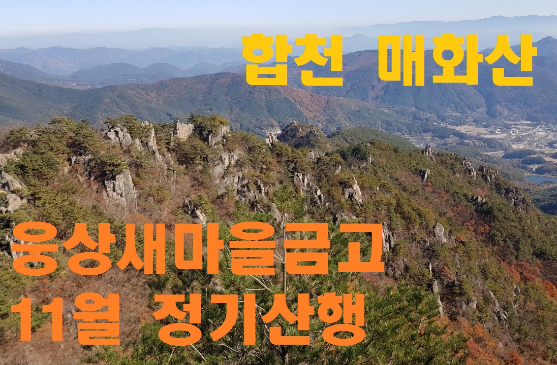 메인12.jpg